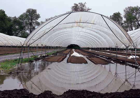 From dry to drenched — How local farmers deal with drastically changing conditions