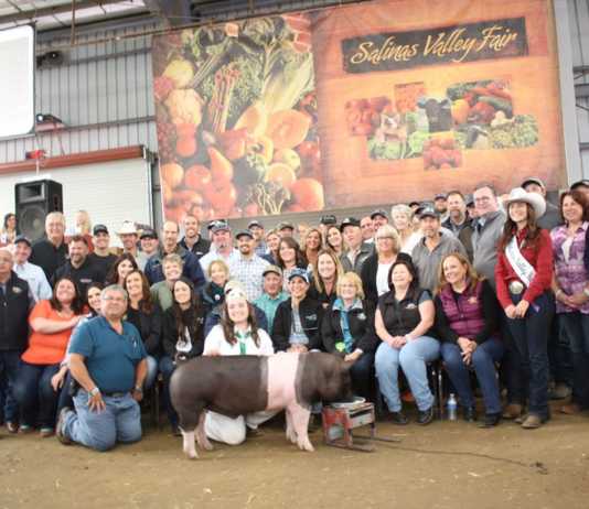 Heritage hog sells for $119K