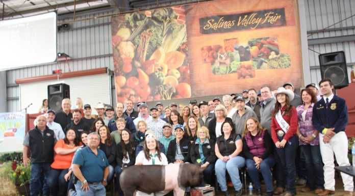 Heritage hog sells for $119K