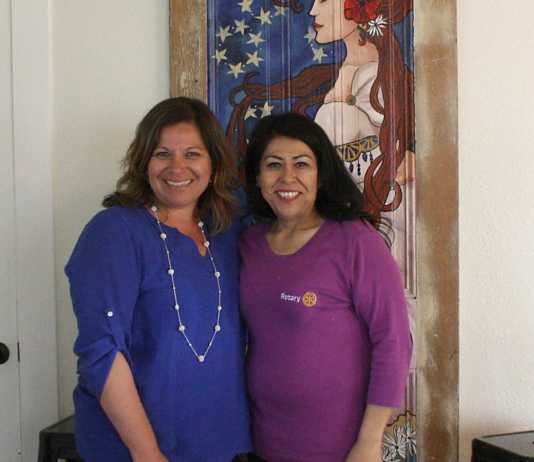 Rotary welcomes new president
