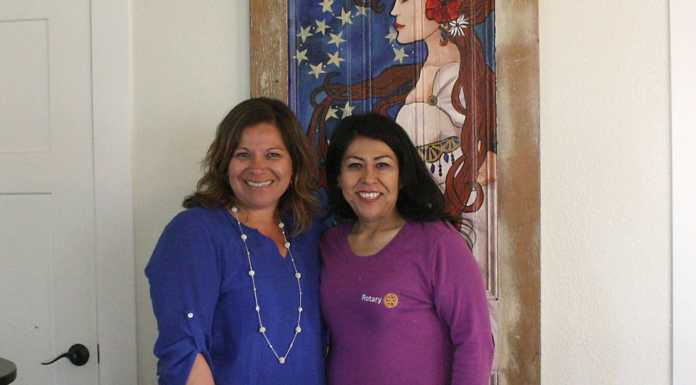 Rotary welcomes new president