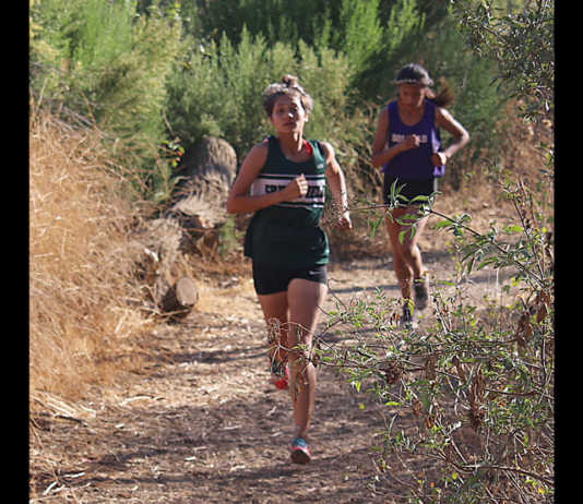 Greenfield teams win Valley Meet