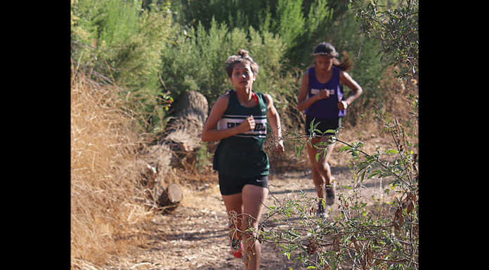 Greenfield teams win Valley Meet