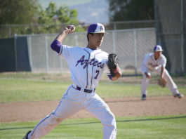 DIVING INTO PLAYOFFS