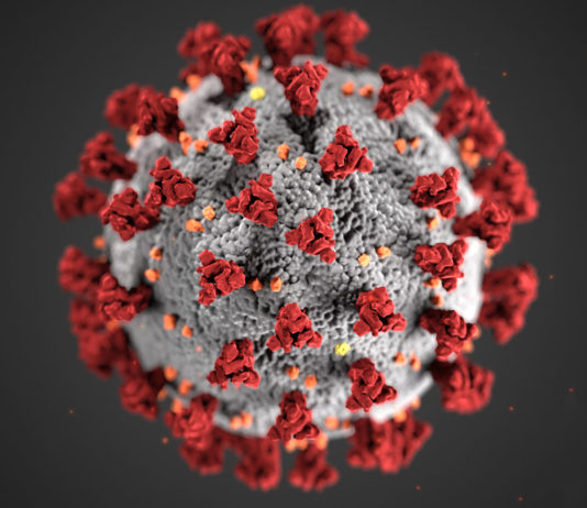 Coronavirus cases increase to 108 in Monterey County COVID-19, novel coronavirus 2019