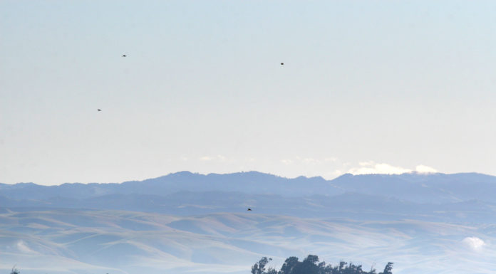 VALLEY VIEWS | March 30, 2020 Photo Gallery Salinas Valley