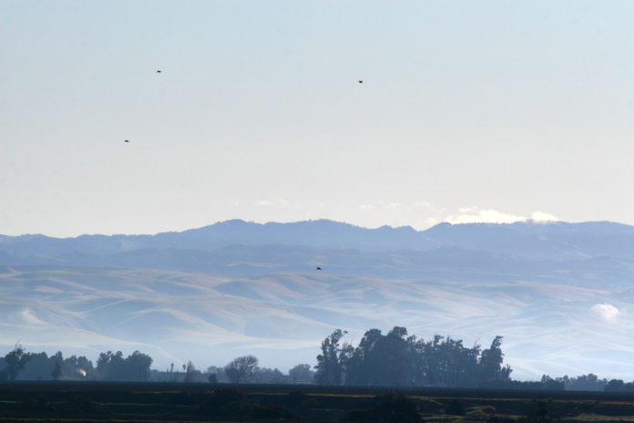 Salinas Valley