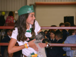 Salinas Valley Fair to host online livestock auction