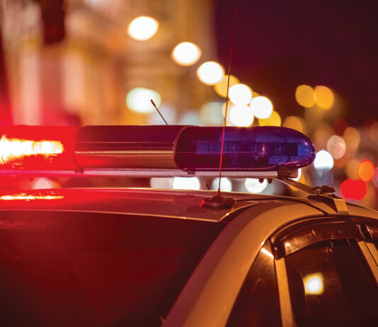 Soledad police chief’s heroic act stops deadly chase